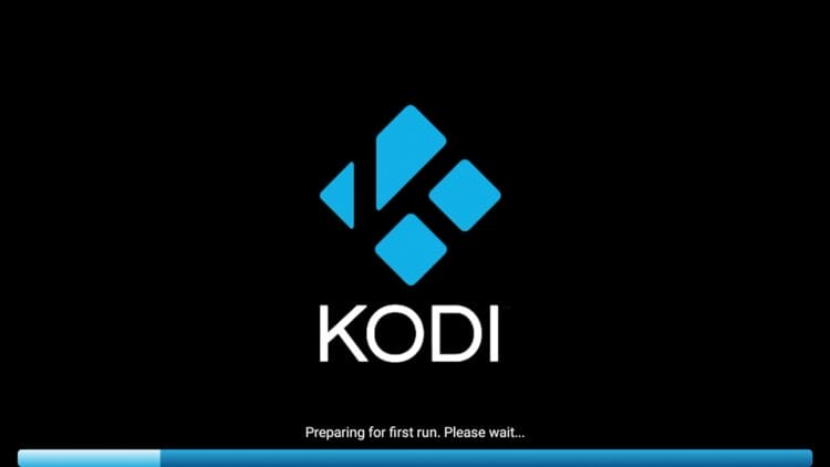 Wait for Kodi to load for its first run.