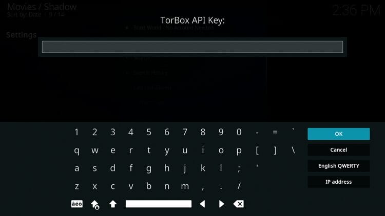 Now you must provide a TorBox API key for authentication.