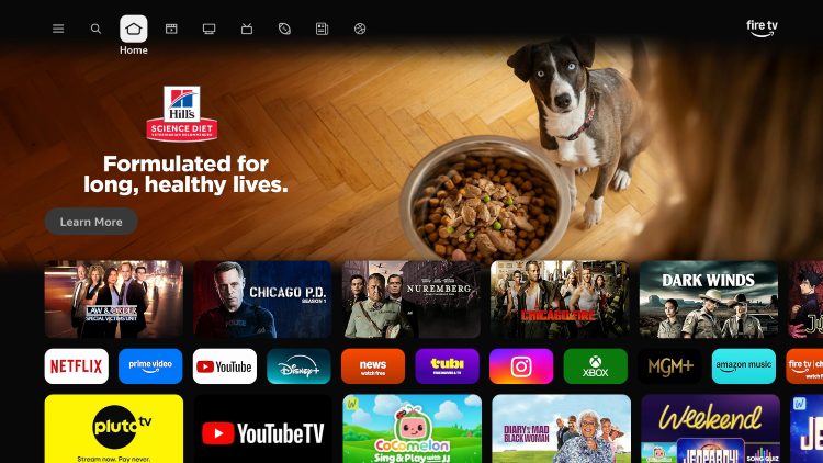 Fire TV Interface