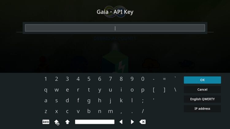 input your API Key and click ok