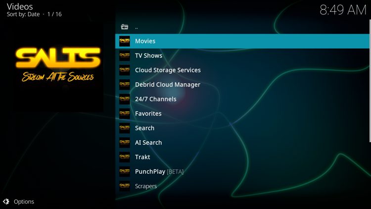 You have successfully installed the SALTS add-on!