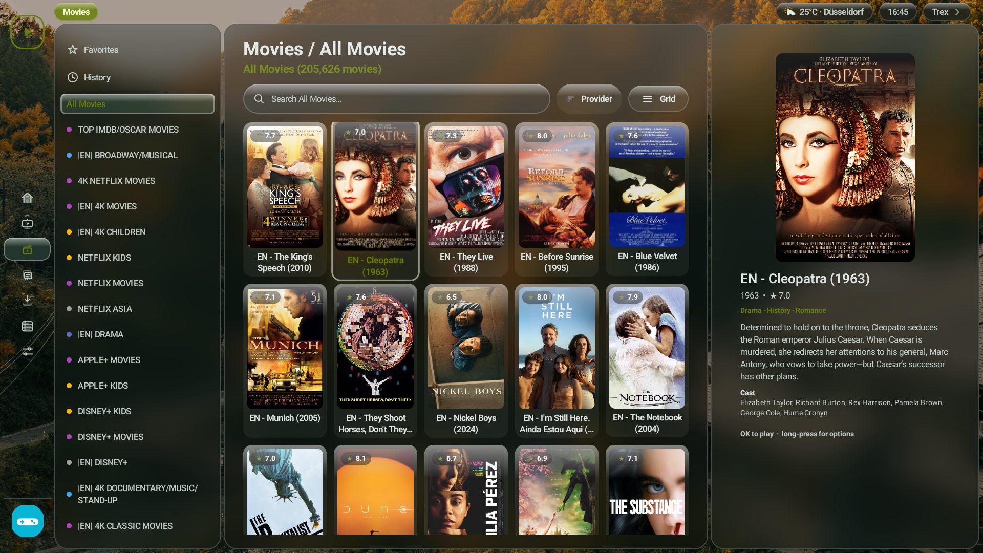 Movies Section